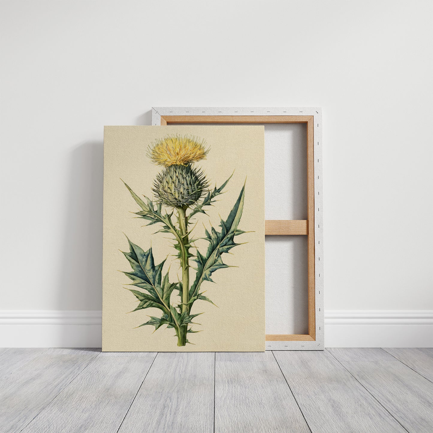 Thistle In Fine Botanical Detail