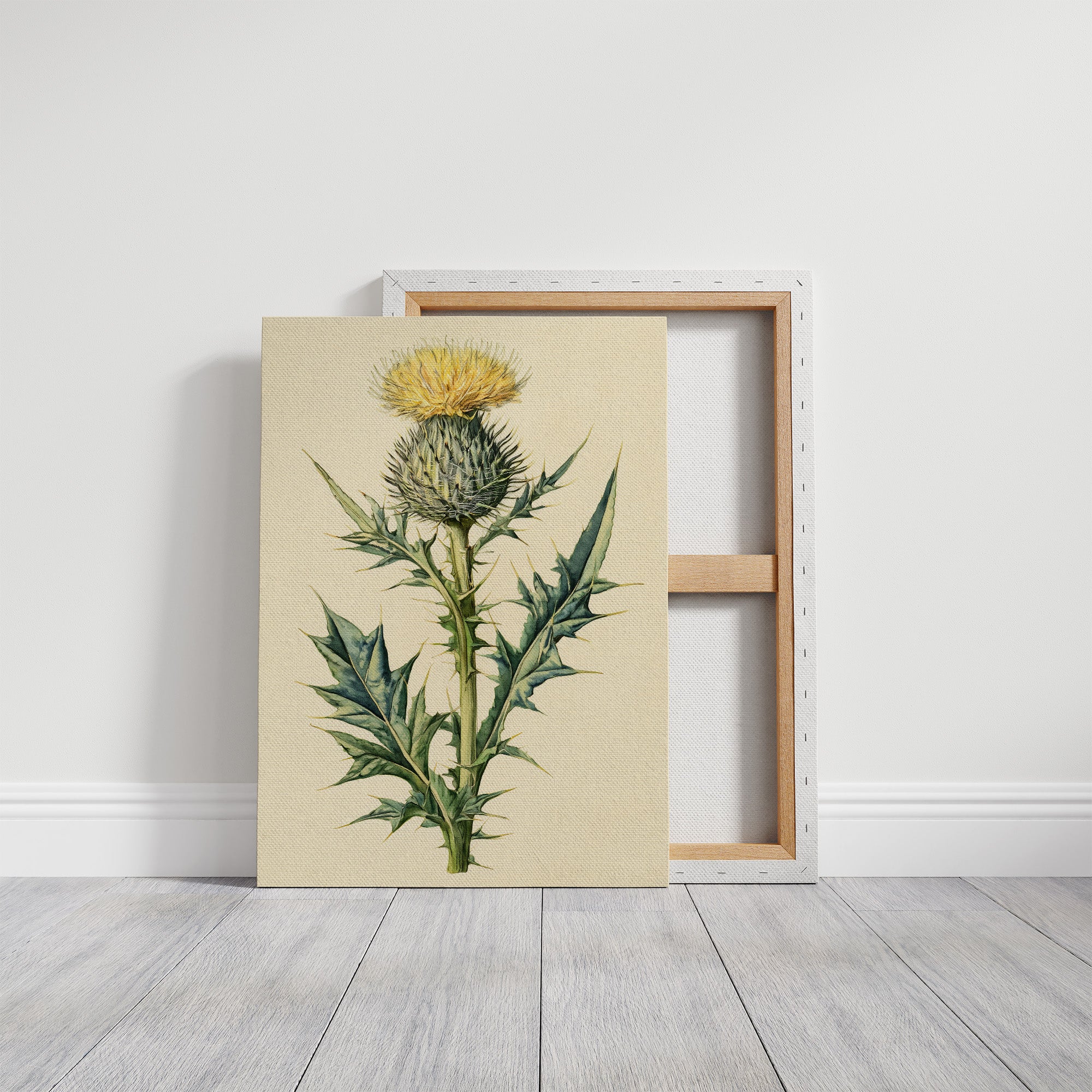 Thistle In Fine Botanical Detail