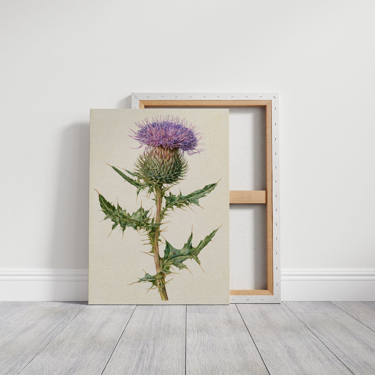 Purple Thistle In Fine Detail