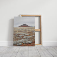 Red Mountain Meets Silver Sage