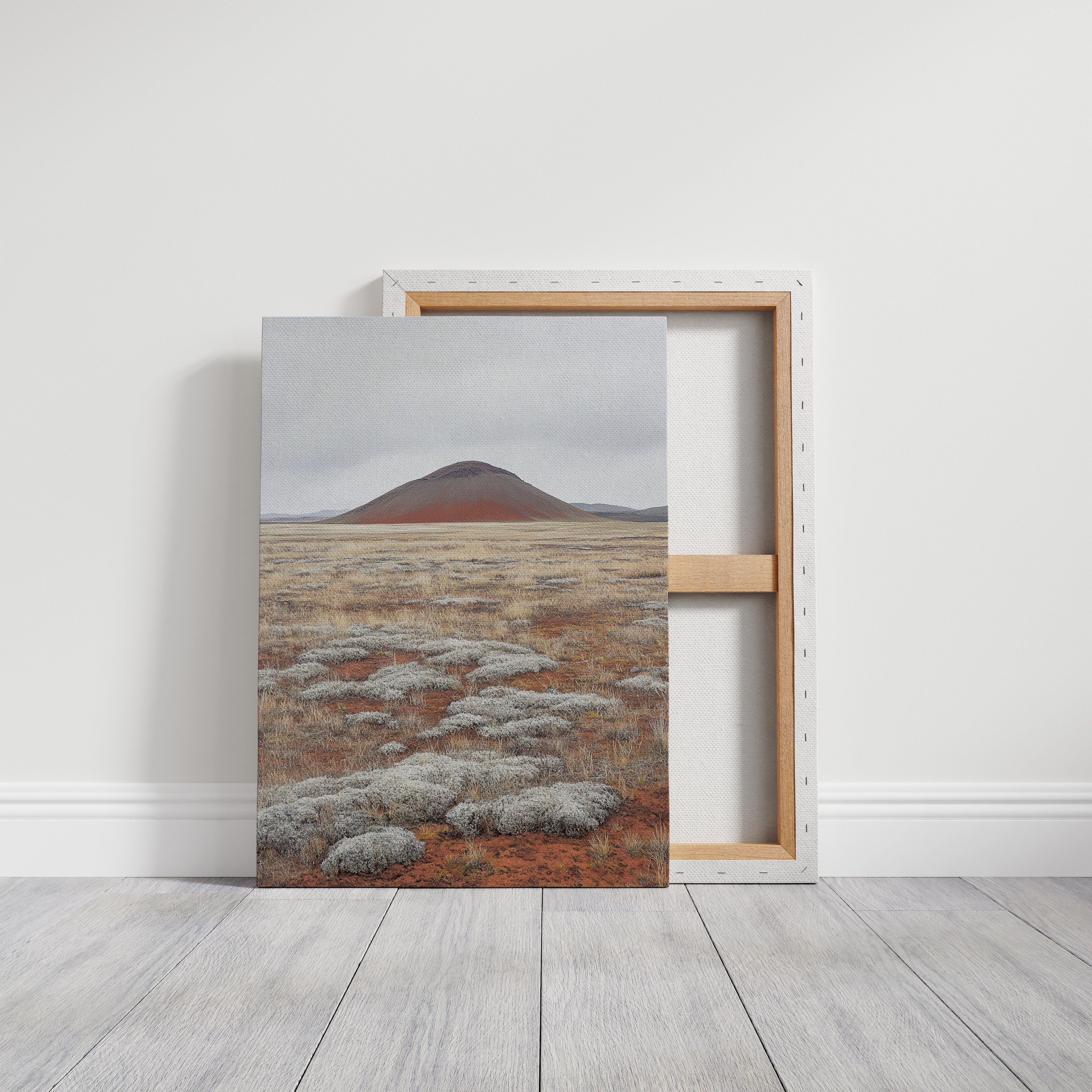 Red Mountain Meets Silver Sage