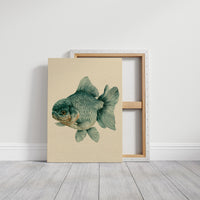 The Lion-Headed Goldfish, Studied in Ink