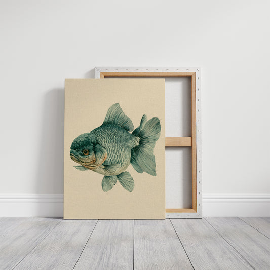 The Lion-Headed Goldfish, Studied in Ink