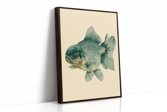 The Lion-Headed Goldfish, Studied in Ink