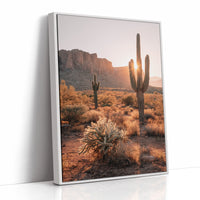 Sunlit Giants in Arid Embrace