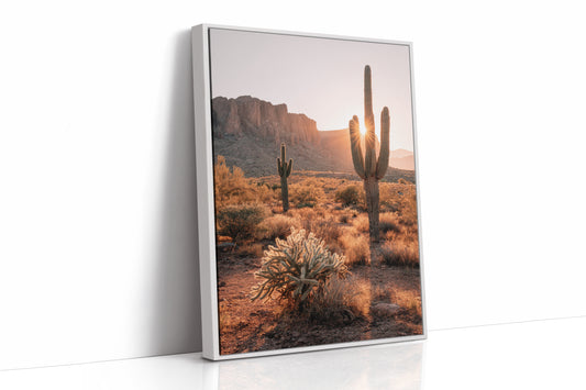 Sunlit Giants in Arid Embrace