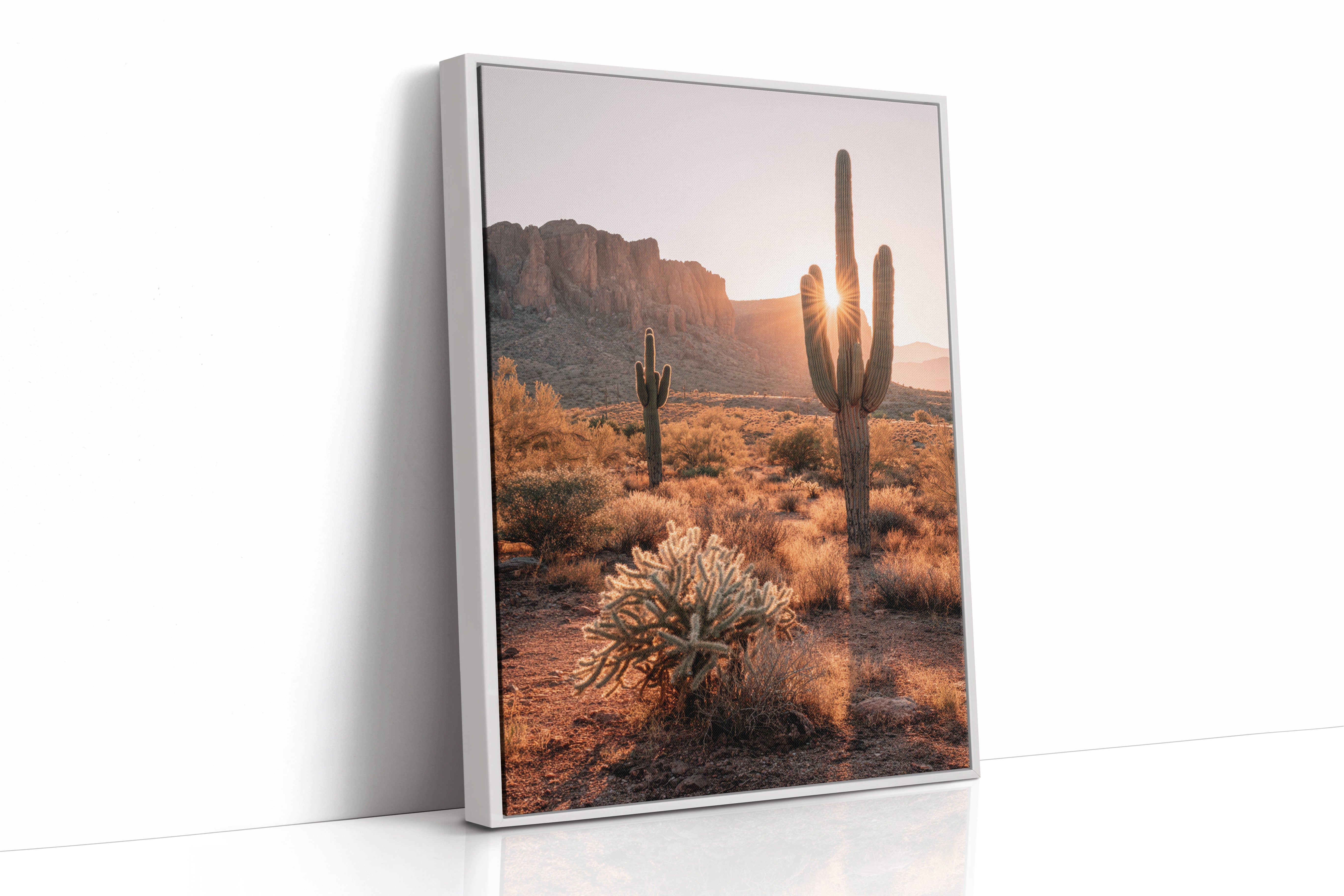 Sunlit Giants in Arid Embrace