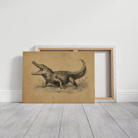 Ancient Scales Tell Bayou Tales