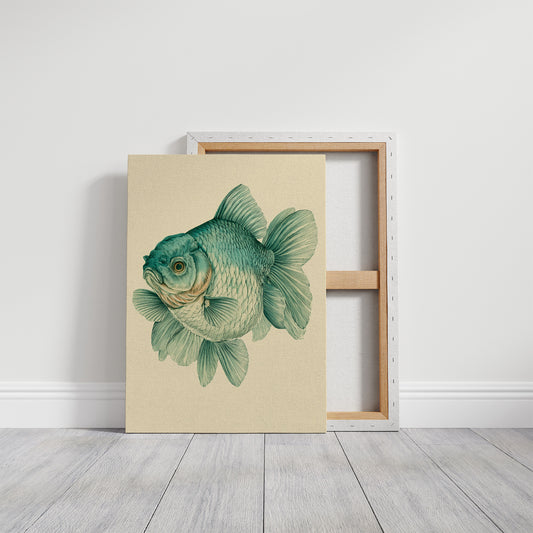 The Curious Goldfish, Face to Face