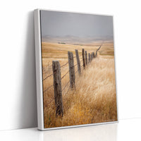 Fences That Tell Forgotten Tales