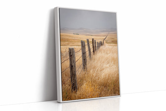 Fences That Tell Forgotten Tales