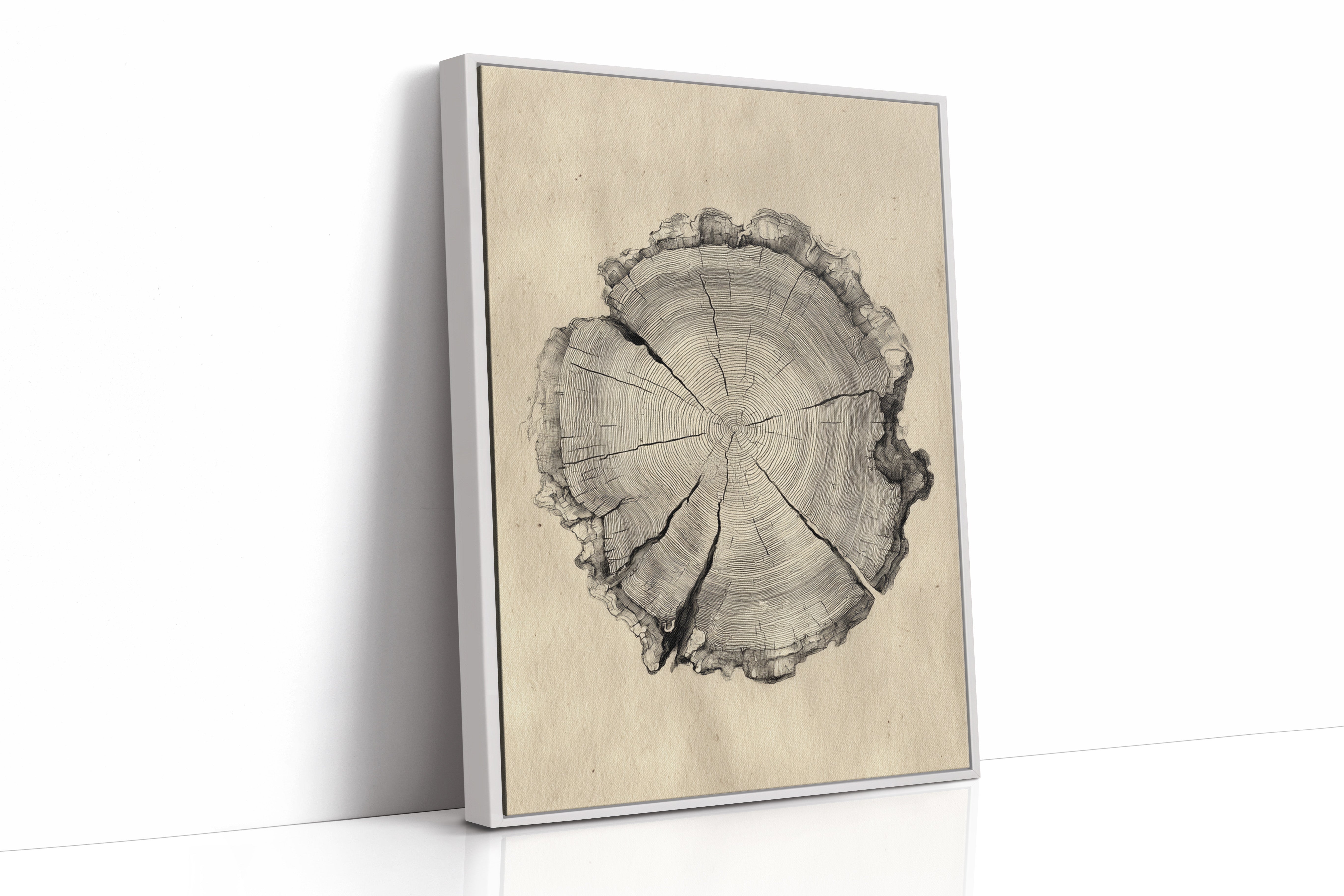 Chronicles Etched in Time