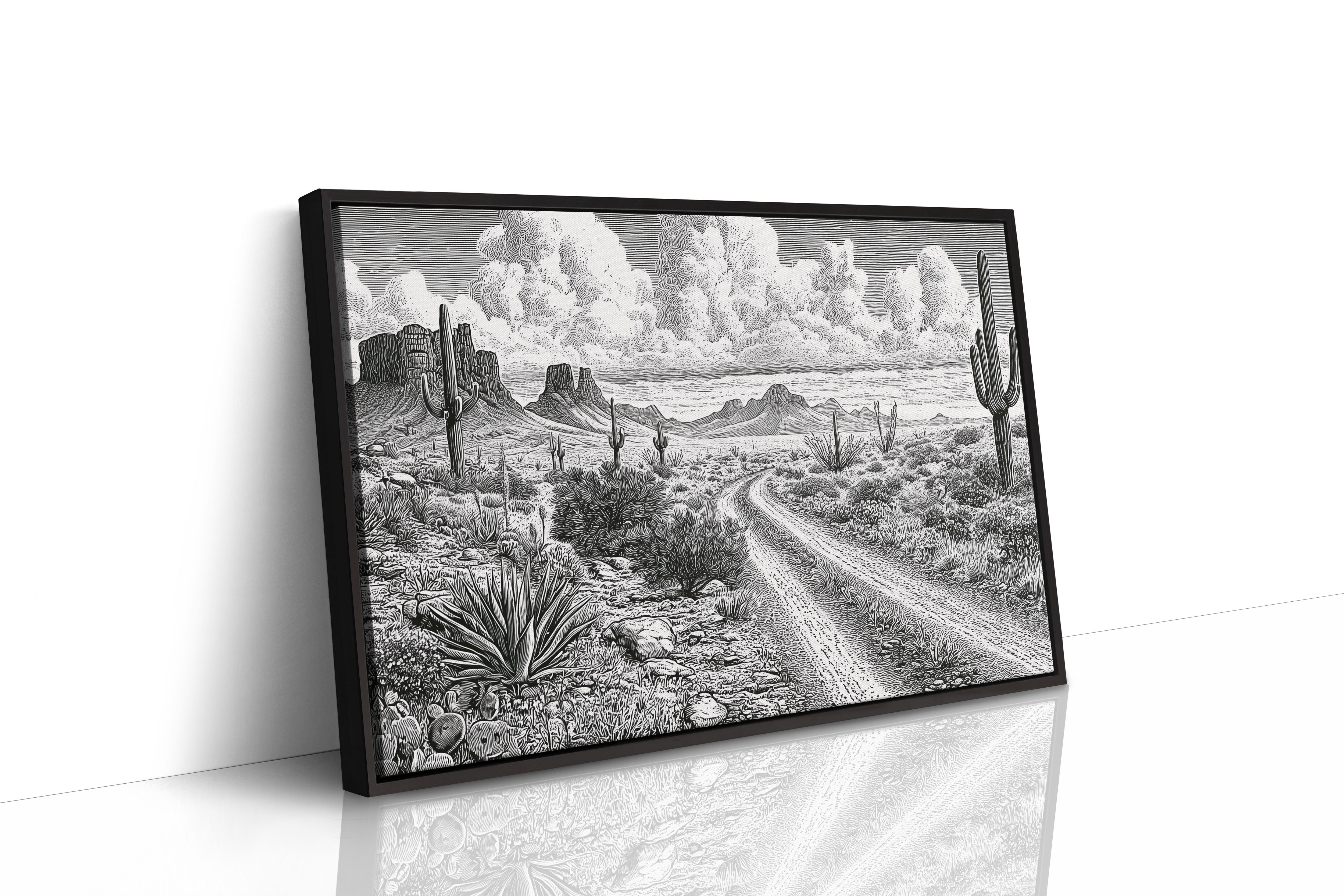 Where the Desert Road Wanders