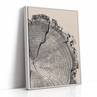 Cross-Section of Time