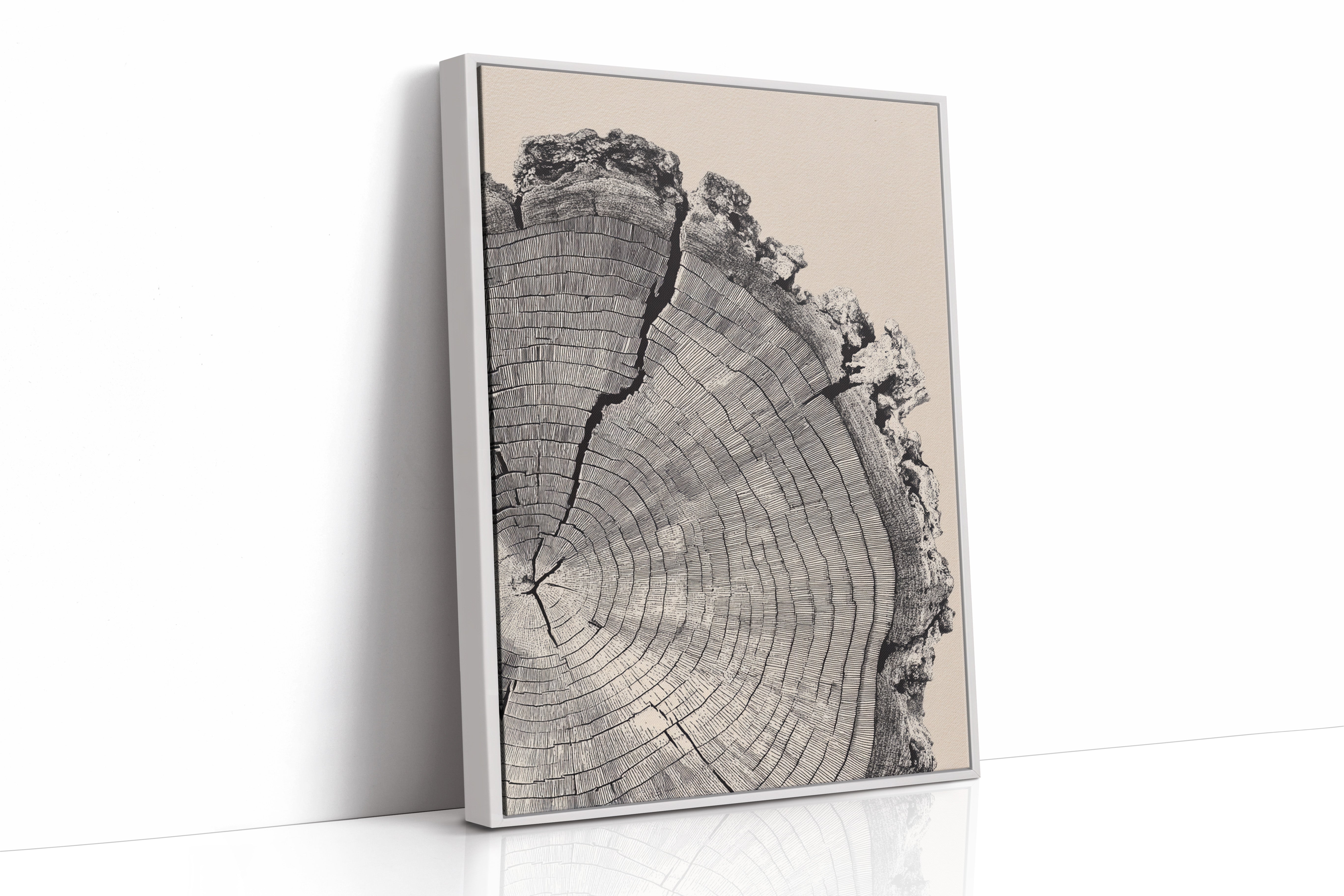 Cross-Section of Time