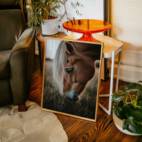 Golden Dusk and Gentle Eyes