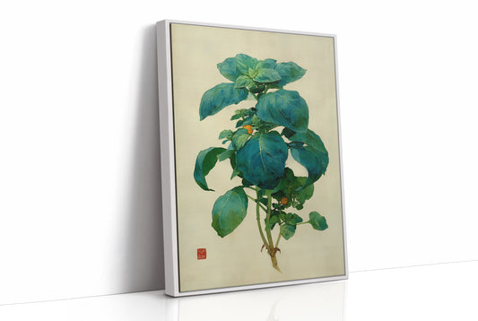 Basil Leaves Dance In Morning Light