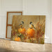 Chickadees Share Harvest Field Stories