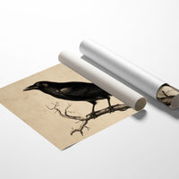 Raven Among Literary Companions