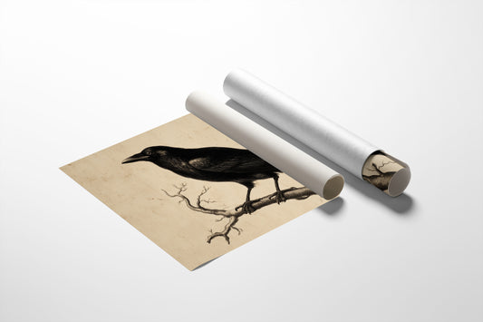 Raven Among Literary Companions