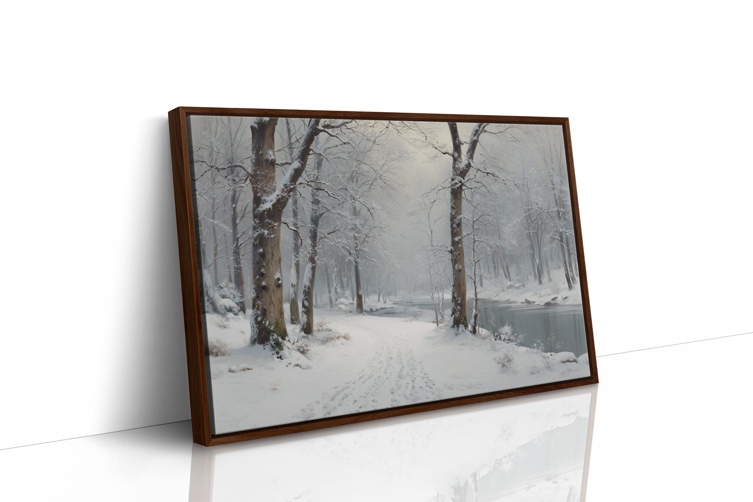 Silent Snow Traces River's Path