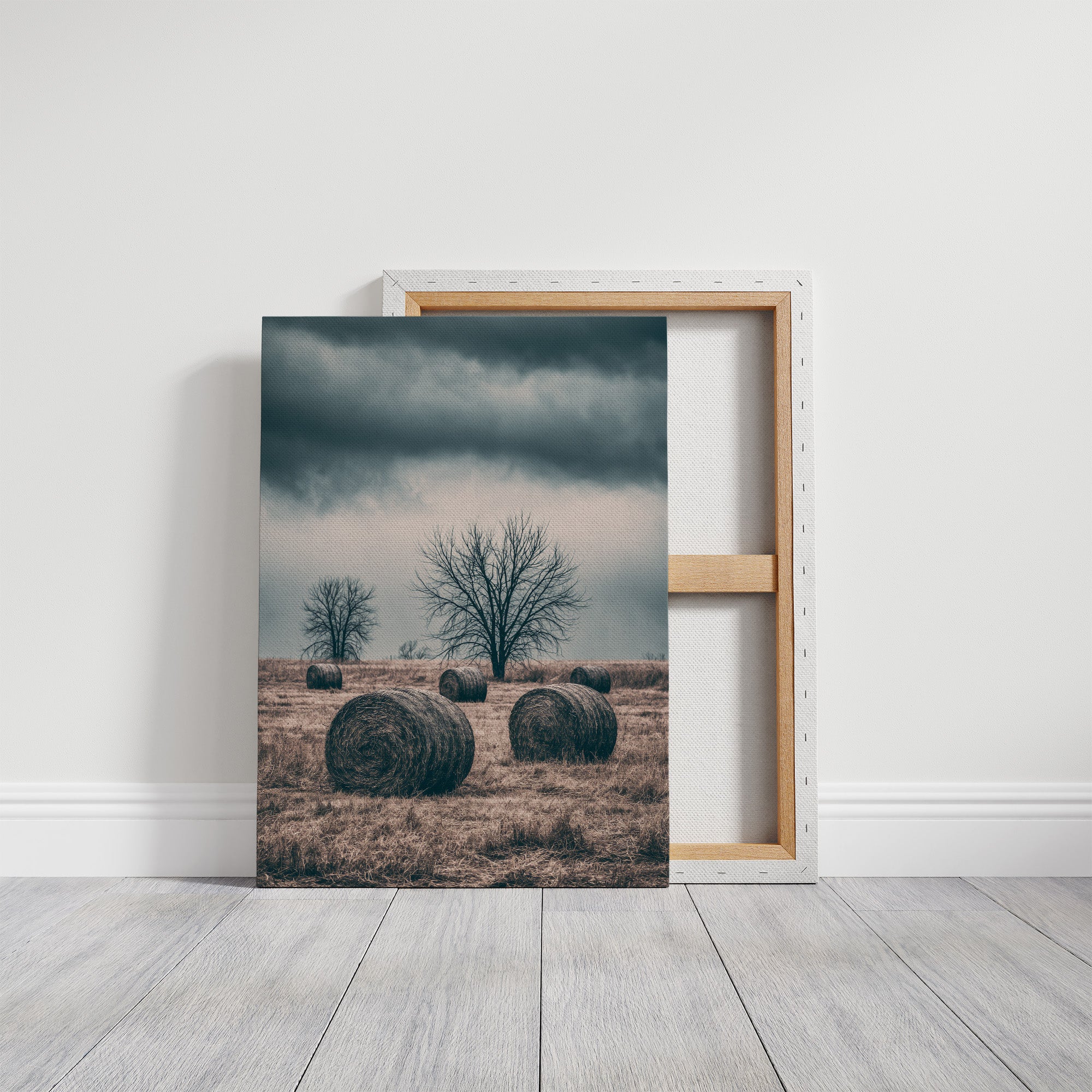 Heavy Sky Over the Hay Field
