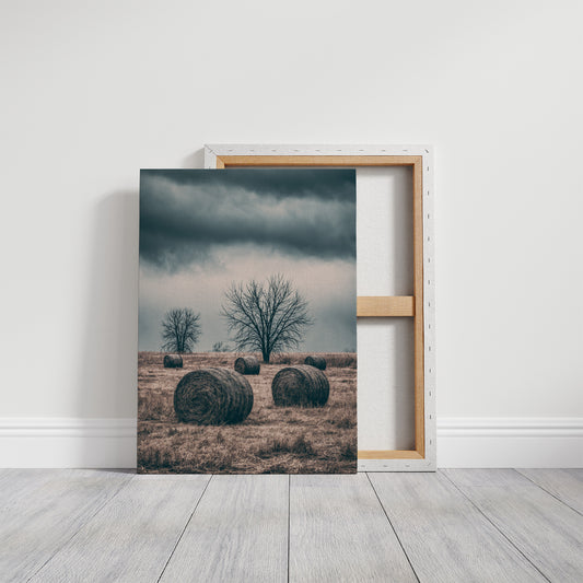 Heavy Sky Over the Hay Field