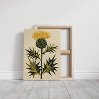 Golden Thistle in Bloom