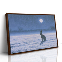 The Hare and the Full Moon