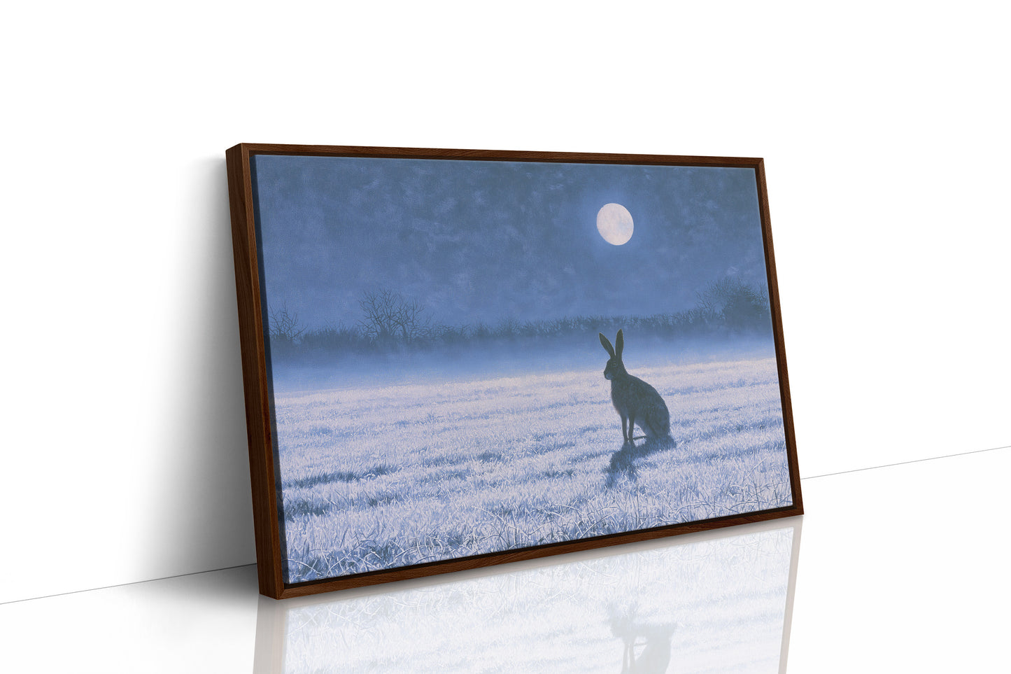 The Hare and the Full Moon