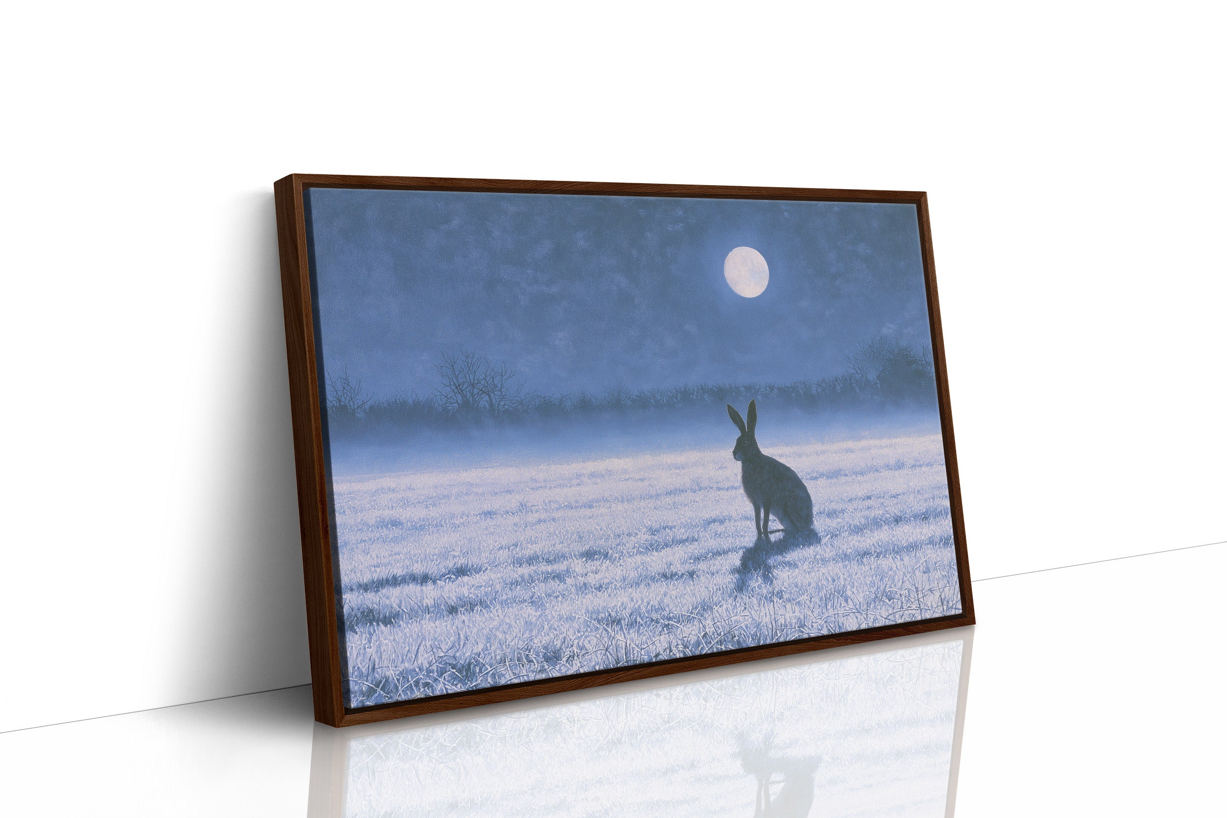The Hare and the Full Moon