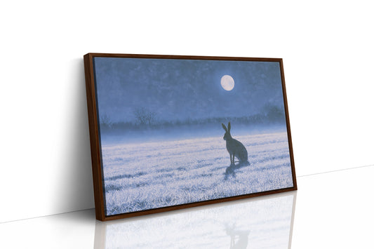 The Hare and the Full Moon