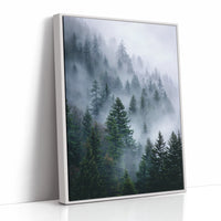 Veil of Mist Among Giants