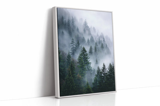 Veil of Mist Among Giants