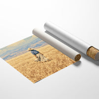 Straw Hat, Distant Companion