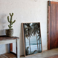 Tides Dance Beneath Tall Palms