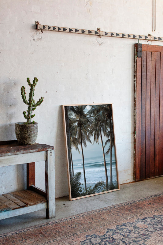 Tides Dance Beneath Tall Palms