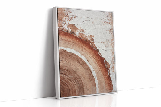 Layers of Time and Texture