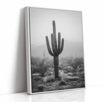Cactus Standing Against The Mist