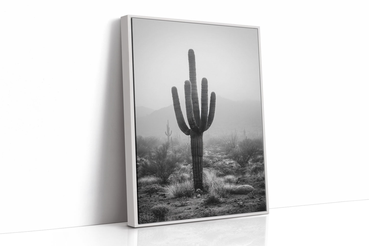 Cactus Standing Against The Mist