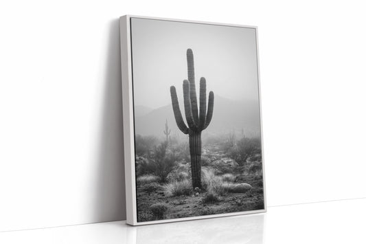 Cactus Standing Against The Mist