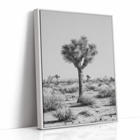 Guardians of the Arid Horizon