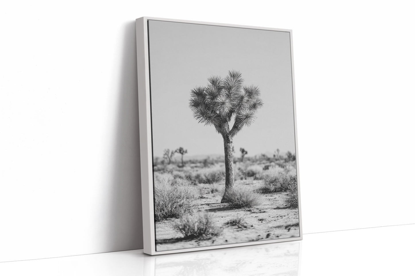 Guardians of the Arid Horizon