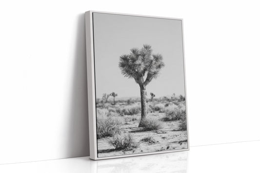 Guardians of the Arid Horizon