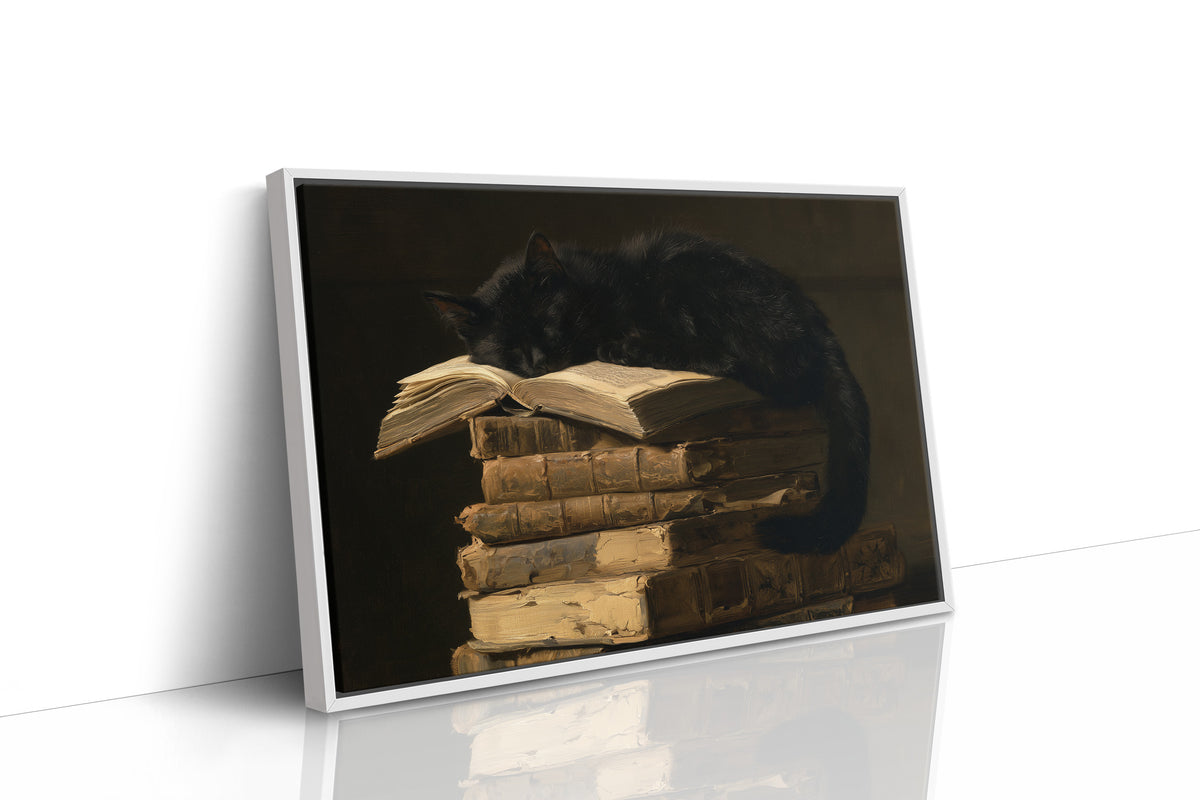 Light Reading, Heavy Napping