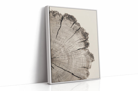 Chronicles Etched in Grain
