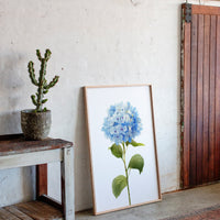 A Symphony of Blue Petals