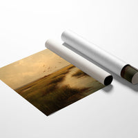 Quiet Creek Tells Ancient Stories