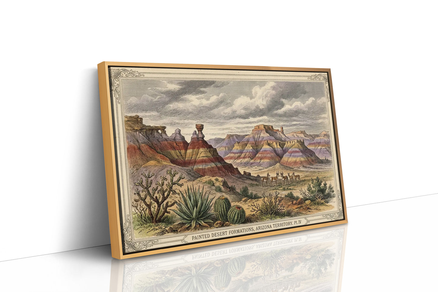 Painted Desert, Plate IV