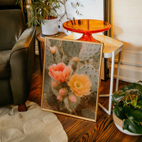 Blooming Cactus in Desert Light